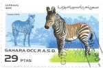 Stamps : Africa : Morocco :  cachorros