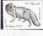 Stamps Russia -  MUSTELIDO