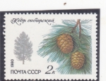 Stamps Russia -  PIÑAS