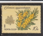 Stamps Russia -  FRUTA
