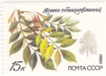 Stamps : Europe : Russia :  HOJAS