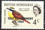 Stamps Belize -  AUTO  GOBIERNO  1964