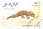 Stamps Morocco -  LAGARTOS