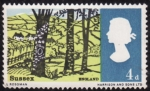 Stamps United Kingdom -  Condado del sur de inglaterra( Sussex )