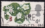 Sellos de Europa - Reino Unido -  Flores