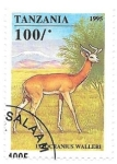 Stamps Tanzania -  antílope