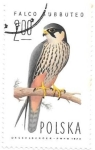 Stamps Poland -  halcones