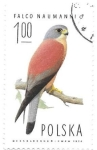 Stamps Poland -  halcones
