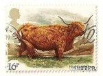 Stamps United Kingdom -  Buey.