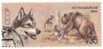 Stamps Russia -  perros de caza