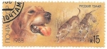 Stamps : Europe : Russia :  perros de caza