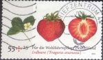 Stamps Germany -  Scott#B1030 , intercambio 2,40 usd. , 55+25 cents. , 2010