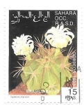 Stamps Morocco -  cactus