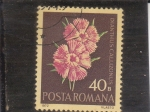Stamps Romania -  FLORES