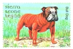 Stamps Sierra Leone -  PERROS  Y  GATOS.  BULL DOG. Scott  2329.