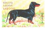 Sellos de Africa - Sierra Leona -  PERROS  Y  GATOS.  SALCHICHA.  Scott  2332.