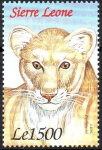 Stamps Africa - Sierra Leone -  LEÓN.  Scott 2202.