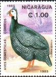 Stamps Nicaragua -  AVES  DOMESTICAS.  GALLINA  GUINEA.  Scott 1467.