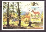 Stamps Belarus -  Flora y fauna