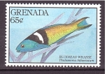 Stamps Grenada -  serie- Arrecife de coral