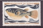 Stamps : Africa : Chad :  serie- Peces