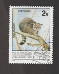 Stamps Hungary -  Gato montés