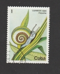 Stamps Cuba -  Caracol Polymita