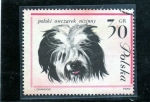 Stamps Poland -  SERIE CANES DE RAZA