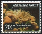 Stamps America - Netherlands Antilles -  ANÉMONAS  DE  MAR  Y  CORAL  ESTRELLA.  Scott  B70.