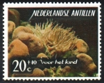 Sellos del Mundo : America : Antillas_Neerlandesas : ANÉMONAS  DE  MAR  Y  CORAL  ESTRELLA.  Scott  B70.