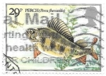 Stamps United Kingdom -  peces