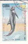 Stamps Cuba -  DELFIN -CETACEOS