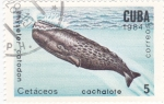 Sellos de America - Cuba -  CACHALOTE.CETACEOS