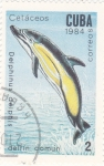 Stamps Cuba -  DELFIN COMUN-CETACEOS