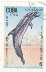 Stamps Cuba -  DELFÍN MANCHADO-CETACEOS