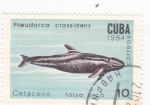 Sellos de America - Cuba -  FALSA ORCA-CETÁCEOS