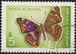 Sellos del Mundo : Europa : Rumania : Mariposa 