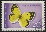 Sellos del Mundo : Europa : Rumania : Mariposa 