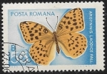 Sellos del Mundo : Europa : Rumania : Mariposa 