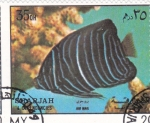 Stamps United Arab Emirates -  PEZ TROPICAL