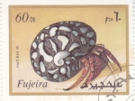 Stamps United Arab Emirates -  CARACOLES