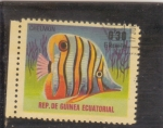 Sellos de Africa - Guinea Ecuatorial -  PEZ TROPICAL