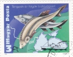 Stamps : Europe : Hungary :  PESCA EN MARES Y RIOS