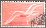 Stamps Spain -  IFNI (Gaviota mediterránea).