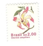 Stamps Brazil -  Chorisia crispiflora