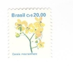 Stamps Brazil -  Cassia macranthera