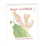 Sellos de America - Brasil -  Triplaris surinamensis