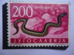 Stamps Yugoslavia -  Víbora Europea - Vípera- Berus - Comm Víbora europea