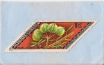 Stamps Mongolia -  Plantas