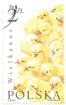 Stamps Poland -  pollitos